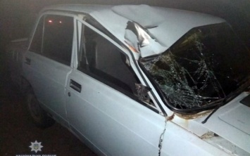Смертельное ДТП под Раденском: "ВАЗ-2105" сбил троих пешеходов, чинивших на обочине автомобиль