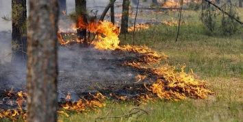 Одесская область: чрезвычайная пожароопасность до понедельника