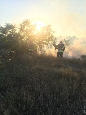 В Одесской области за сутки спасатели получили почти сотню вызовов на различные пожары