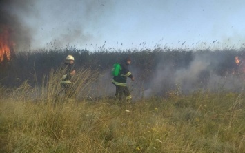 Пожарные ликвидировали возгорание камыша на отдельных ячейках в Верхнерогачикском районе