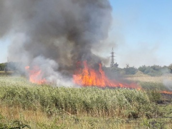 В Запорожской области в сгоревшей дотла машине обнаружили ее владельца