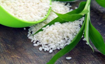 Белковая диета для похудения с рисом