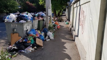 В администрации Симферополя отчитались о ситуации с вывозом мусора