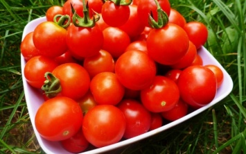Польза помидоров: интересные факты