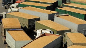 Украина ограничивает экспорт продовольственного зерна