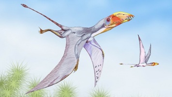 Палеонтологи выяснили, когда птерозавры захватили Землю