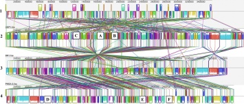 Созданы новые алгоритмы генетического анализа