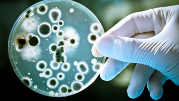 Ученые планируют лечить болезни через управление бактериями