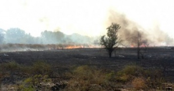 Природные пожары в Украине: 15 возгораний на левобережье за сутки