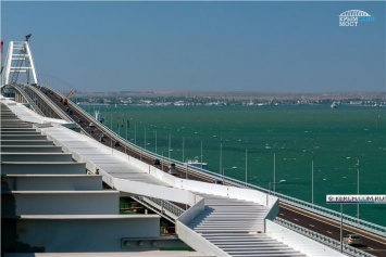 Крымский мост спасает молодь хамсы от хищников