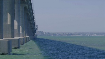 Почему мальки хамсы собираются у Крымского моста? (видео)