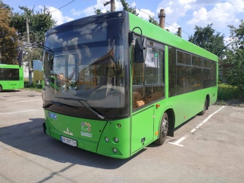 Житомирцы расхвалили Сенкевичу автобусы «МАЗ 206», который он хочет купить для Николаева