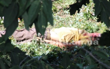 В Покровске погиб коммунальщик в ходе распилки деревьев