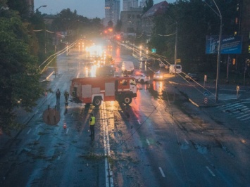 Поваленные деревья и затопленные улицы: в сети показали последствия ночного урагана в Киеве. ВИДЕО