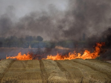 Пожары не проходят: за сутки в Запорожской области зафиксировали два десятка возгораний на природе