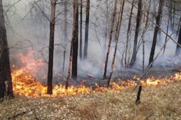 В горах над Ялтой замечено очередное возгорание