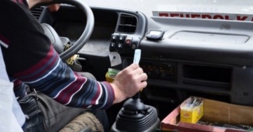 На Закарпатье крупного автоперевозчика оштрафовали на 21 млн грн за нелегальных водителей