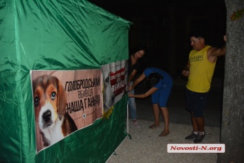 В Николаеве под мэрией зоозащитники разместили палатку и требуют отстранить директора КП «Центр защиты животных»