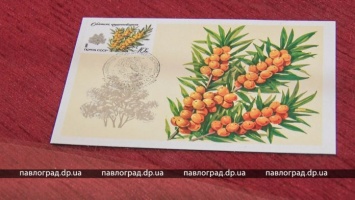 В Павлограде открылась выставка марок