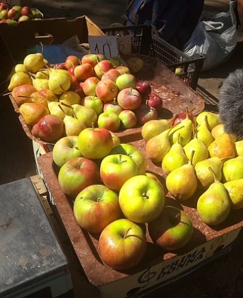Яблочный Спас: сколько стоят яблоки на бердянских прилавках