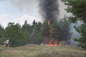 Спасатели уверены: продолжающиеся неделю пожары в Вознесенском районе - результат поджогов