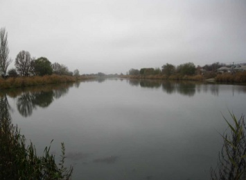 На озере Курячем предлагают создать зону отдыха