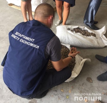 Из Украины пытались вывезти более тонны янтаря под видом пеллет