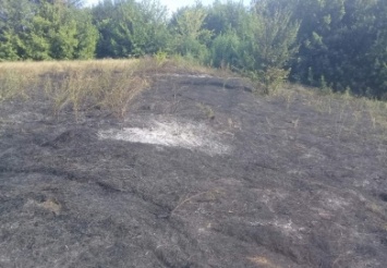 На Днепропетровщине в течение дежурных суток выгорело 15,5 га сухой травы