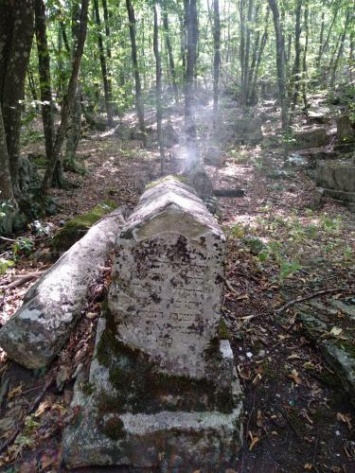 Туристы засняли призрак обезьяны-воина на древнем кладбище в Крыму