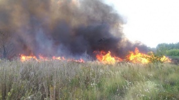 На Харьковщине во время выжигания сухостоя сгорела 77-летняя женщина
