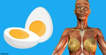 9 вещей, которые произойдут с вашим телом, если стать есть по 2 яйца на завтрак
