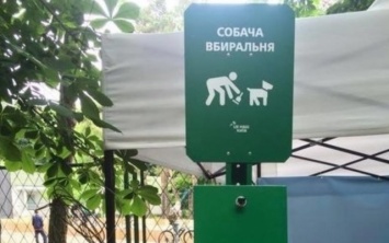 На Днепропетровщине предложили создать сеть "собачьих туалетов"