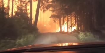 Отец и сын сняли на видео, как выбираются на машине из горящего леса
