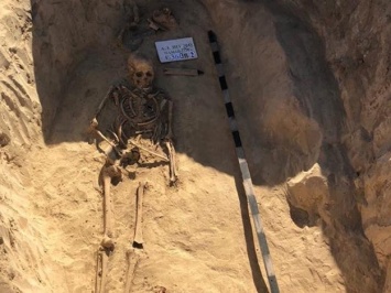 Древнее захоронение: под Запорожьем археологи нашли скелет женщины, жившей более 2 тысяч лет назад