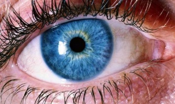 ДНК: В Израиле обнаружены 6500-летние останки людей с аномальными голубыми глазами