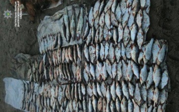 Ущерб более 19 тысяч гривен - на Днепропетровщине патрульные обнаружили рыбаков-браконьеров