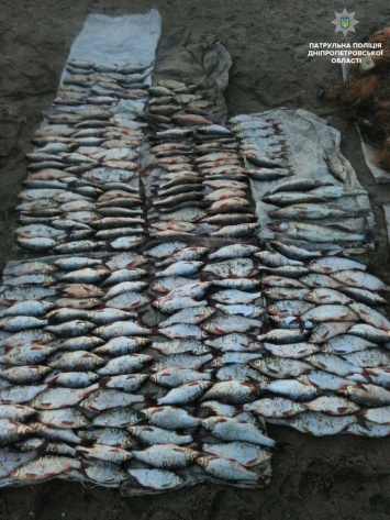На Днепропетровщине полиция задержала браконьеров с крупным уловом