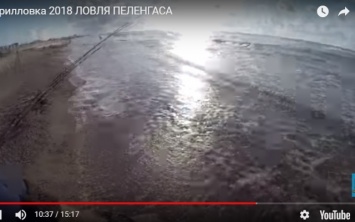Популярный блогер снял ролик на запорожском курорте (ВИДЕО)