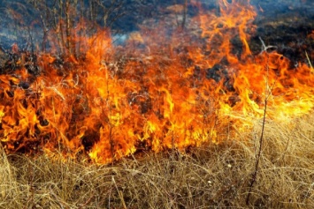 До конца недели в Днепропетровской области сохраняется высокая пожароопасность