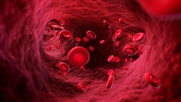 Ученые нашли в кишечнике фермент, позволяющий создавать универсальную кровь