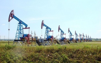 Нефть дорожает на фоне сокращения запасов в США
