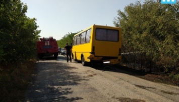 В Запорожской области легковушка врезалась в маршрутку из-за дыма (ВИДЕО)