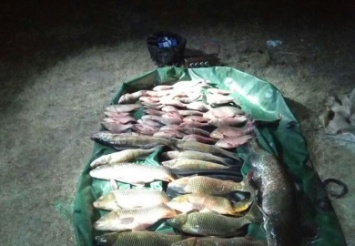 На Днепропетровщине рыбак-браконьер наловил рыбы на 7 тыс. грн