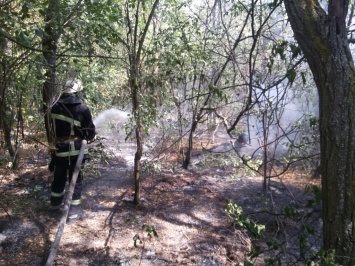 В Николаевской области за минувшие сутки площадь пожаров на открытых территориях составила почти 23 гектара