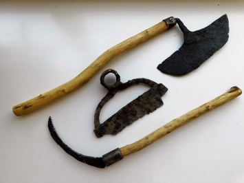 Старинный боевой серп подарили музею на Полтавщине (фото)