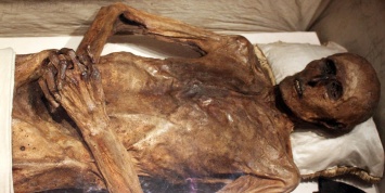 Уральские коллекторы нашли мумию пропавшего должника