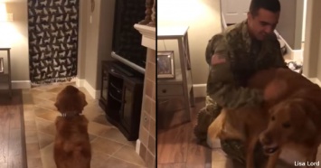 Реакция этой собаки на возвращение хозяина из армии растопила сердца миллионов!