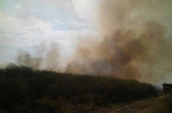 На Луганщине не удается ликвидировать масштабный пожар
