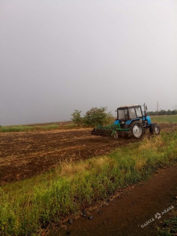 Войны за землю в Десантном: аграрии жалуются на захват земель, которые им не принадлежат