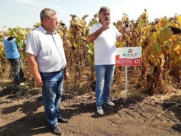 В Николаевской области представители французской компании провели семинар для аграриев